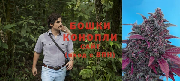 Альфа ПВП Арсеньев