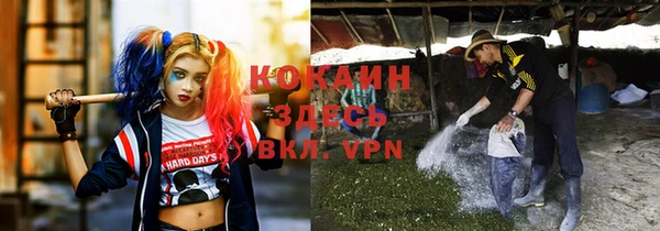 Альфа ПВП Арсеньев