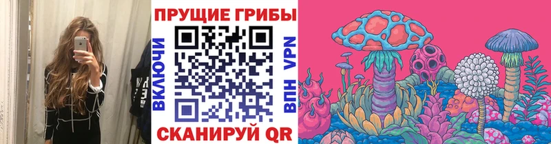 продажа наркотиков  Светогорск  Галлюциногенные грибы Cubensis 